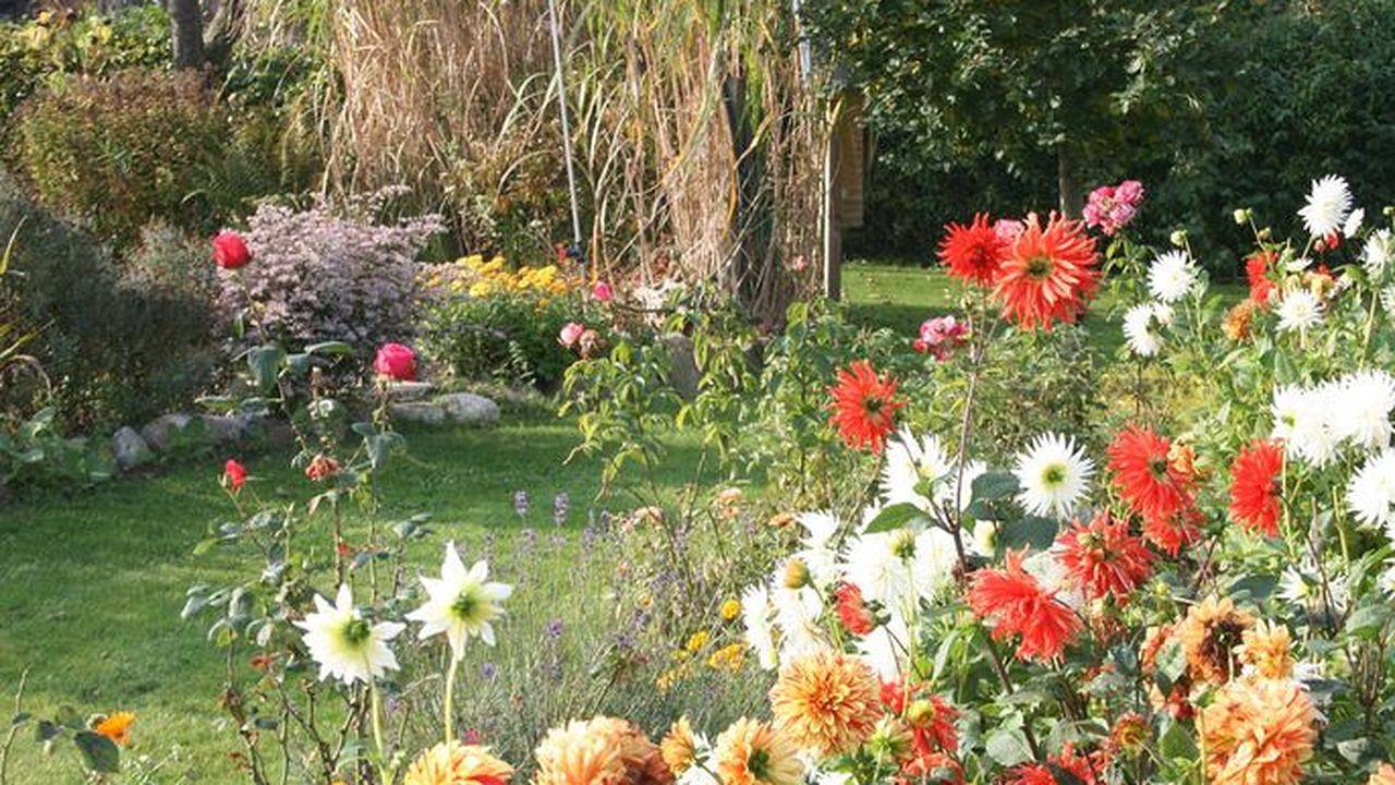 Ganze Ferienwohnung, Ferienwohnung für 3 Personen (40 m²) in Alt Farpen in Blowatz, Neuburg