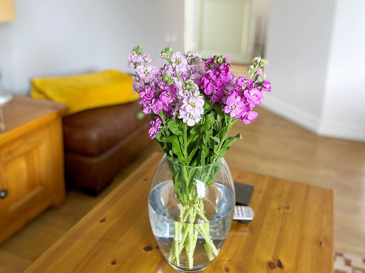 Weavers Lodge in Hyde (Hampshire), Hampshire