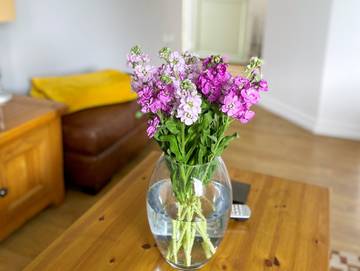 Cottage for 2 People in Hyde (Hampshire), New Forest National Park, Photo 3