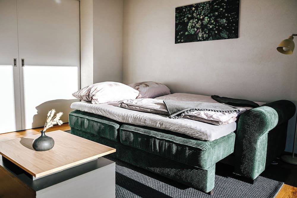 Entire apartment, Gardenoasis: Exclusive Seehalde apartment in Suedlicher Schwarzwald, Schluchsee