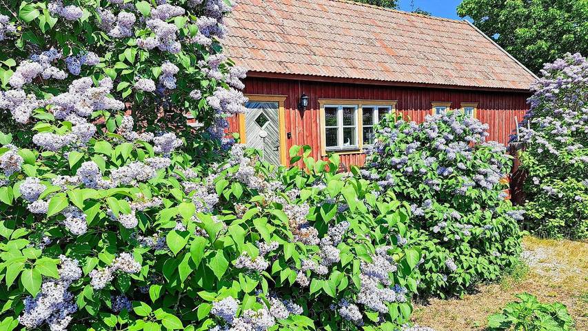 Ferienhaus für 9 Personen, mit Haustier in Gotland - 2