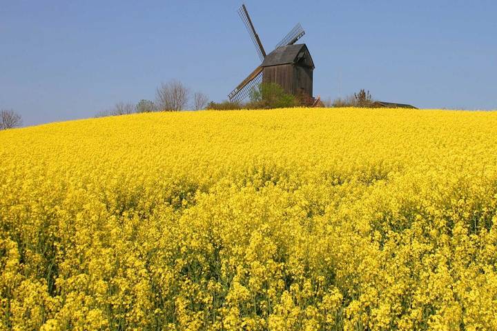 Ferienhaus für 10 Personen, mit Terrasse und Garten in Pudagla - 4