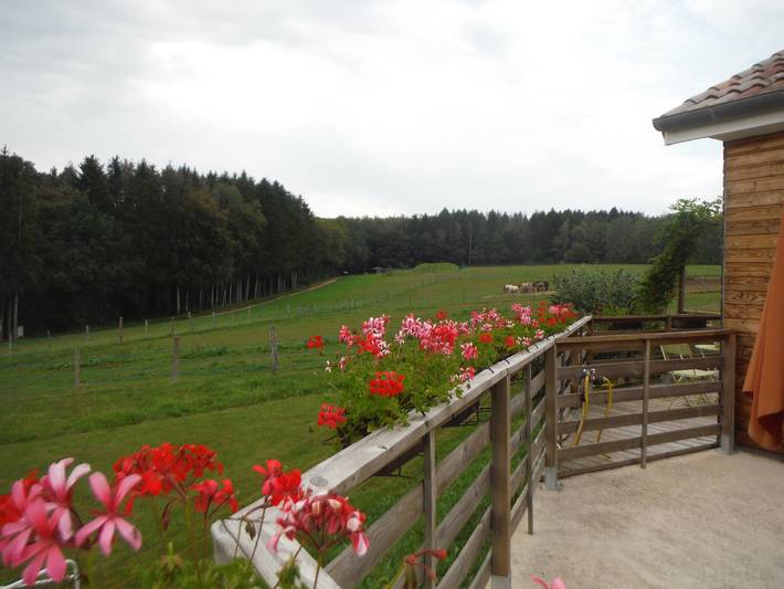 Ferienhaus 'Gîte Le Clos Du Bannet' mit Wlan in Givonne, Ardennen