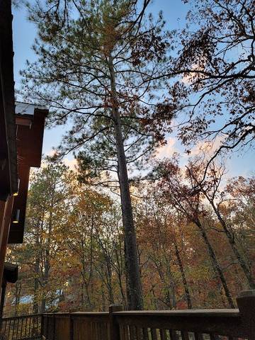 Log Cabin for 10 People in Broken Bow, Broken Bow Lake, Photo 1