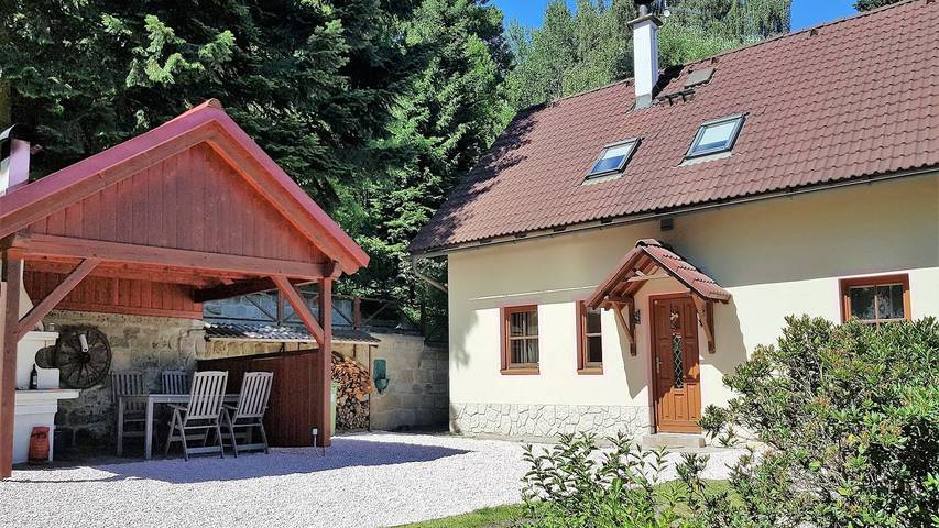 Vacation rental for 11 people, with sauna and pool as well as terrace and yard in Czech Republic
