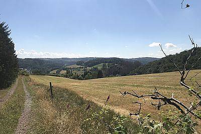 Ganze Wohnung, Schwedenhaus Waldkauz - Ferienhaus mit Kamin, max. 5 Personen in Willingen, die Mittelgebirge