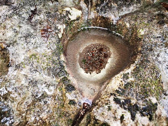 Location de vacances pour 2 personnes, avec piscine ainsi que jardin et vue à Miribel-les-Échelles - 3