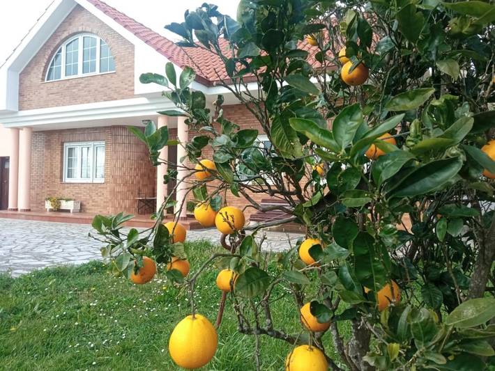 Casa rural para 8 personas, con Terraza además de Jardín y Vistas en Mogro