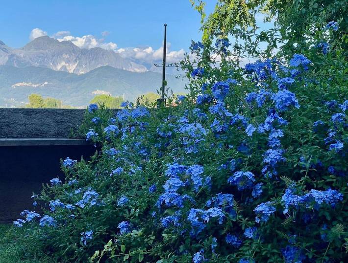 Ferienwohnung für 4 Personen, mit Garten und Ausblick - 1