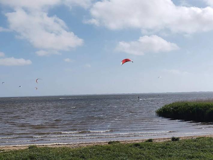 Ferienhaus für 3 Personen, mit Haustier in Holmsland Klit - 4