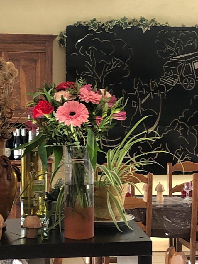 Hôtel pour 2 personnes, avec terrasse, animaux acceptés à Saint-Privat-d'Allier - 2