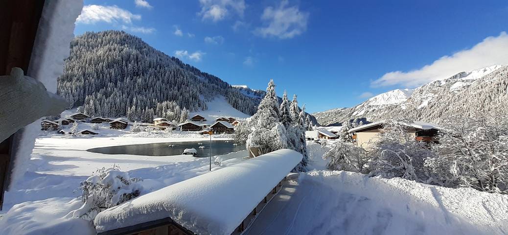 Gîte pour 19 personnes, avec vue sur le lac et jardin ainsi que terrasse et sauna, animaux acceptés à Chatel - 3