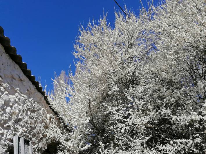 Scheune für 8 Personen, mit Pool und Garten, kinderfreundlich in Provence-Alpes-Côte d'Azur - 2