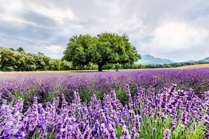 Gîte pour 2 personnes, avec piscine et terrasse à Beaurecueil - 3