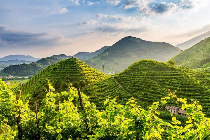 Hôtel pour 2 personnes, avec jacuzzi et jardin, animaux acceptés à Follina - 2
