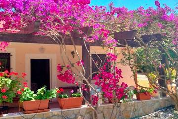 Location de vacances pour 5 personnes, avec jardin et terrasse dans Rodi Garganico