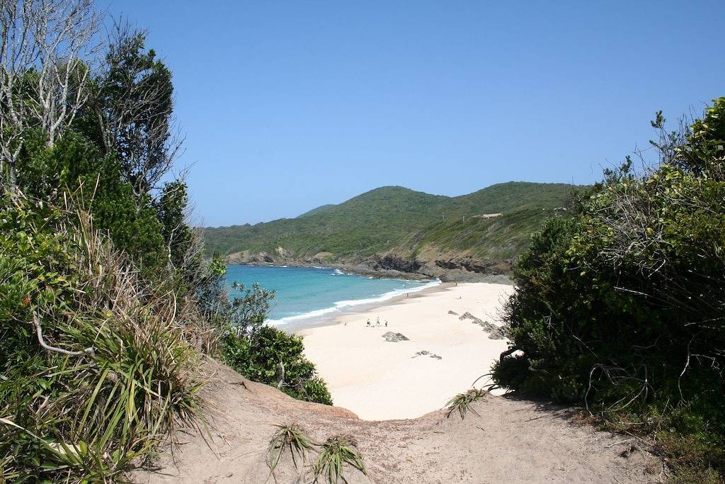 Ganze Wohnung, Entspannen & Relax @ Forster in Forster Main Beach, Forster