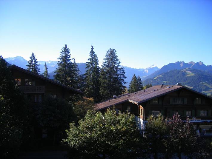Gîte pour 3 personnes, avec balcon à Saanen - 3