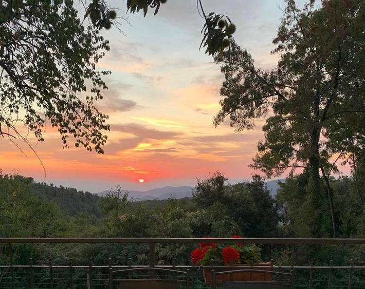 Chambre d’hôte pour 4 personnes, avec jardin ainsi que balcon et vue à Castiglione della Pescaia - 2