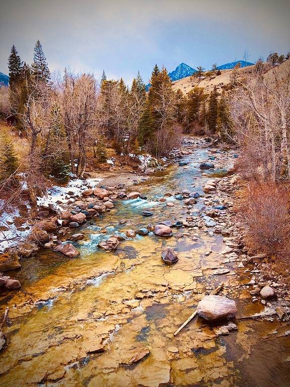 Near Yellowstone, this Cabin will throw you back in time! in Cody (WY), Absaroka Range