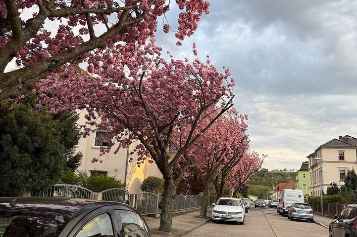 Ferienhaus für 6 Personen, mit Garten und Sauna sowie Pool in Dresden