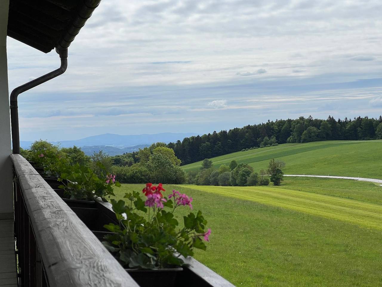 Pension Jodlbauer - Dreibettzimmer, foto 15