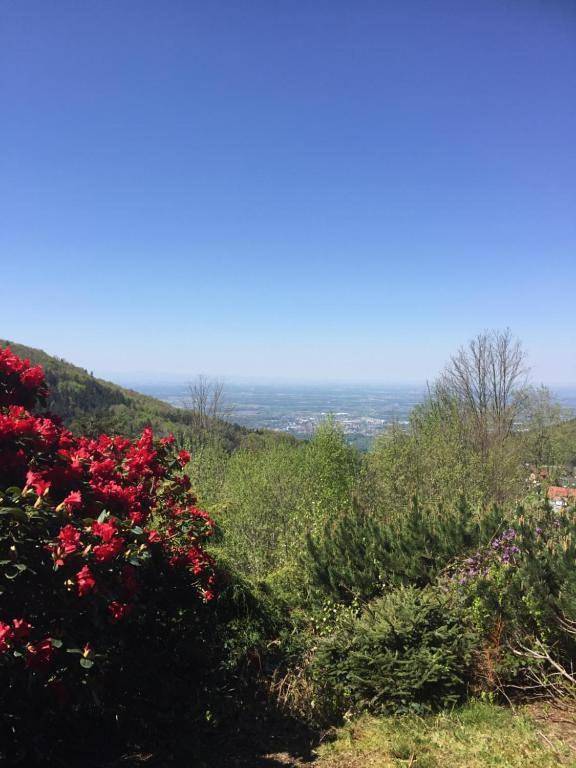 Gîte pour 4 personnes, avec balcon ainsi que jardin et vue dans Brandmatt