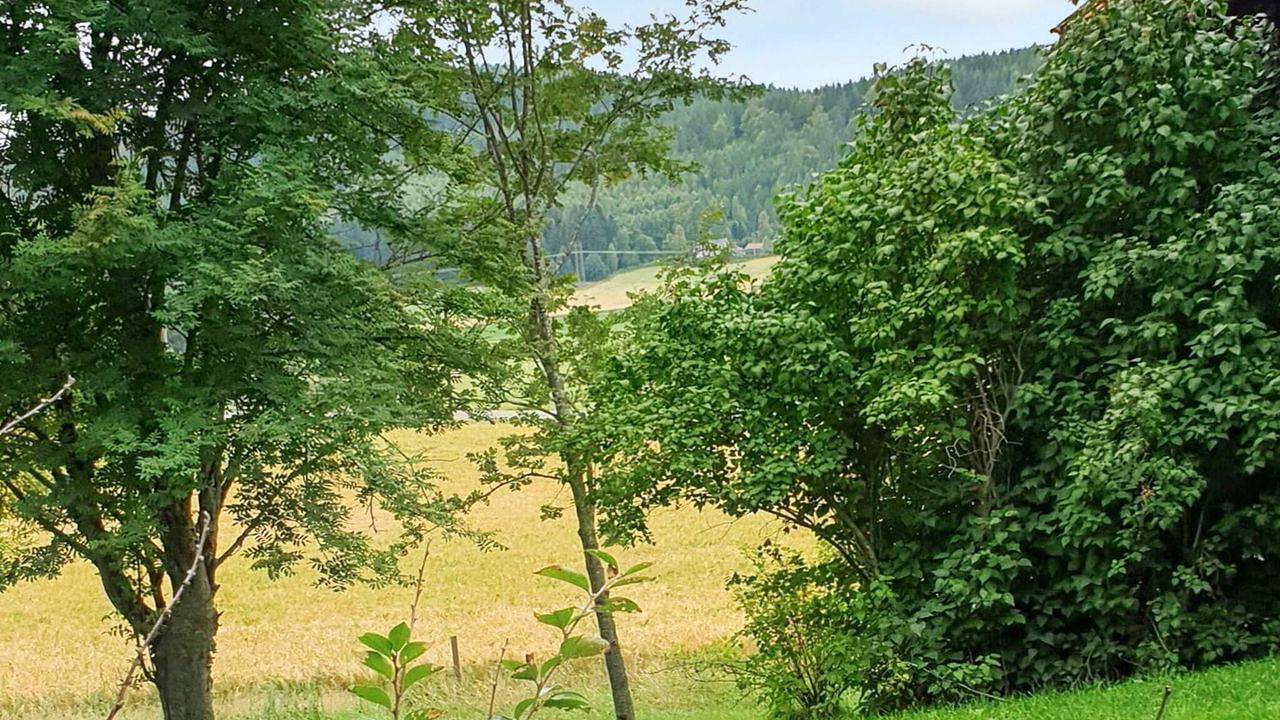 Ferienhaus für 4 Personen (120 m²) in Järvsö in Hälsingland