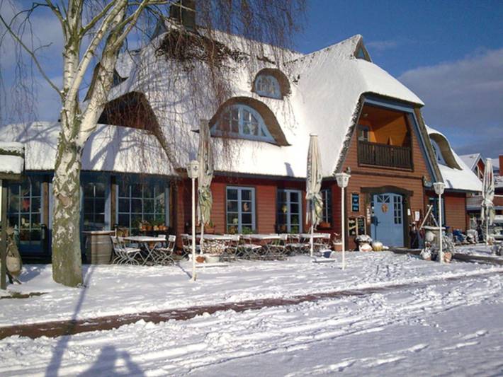 Ferienpark für 4 Personen, mit Garten und Terrasse sowie Sauna und Seeblick, mit Haustier in Mecklenburgische Seenplatte - 2