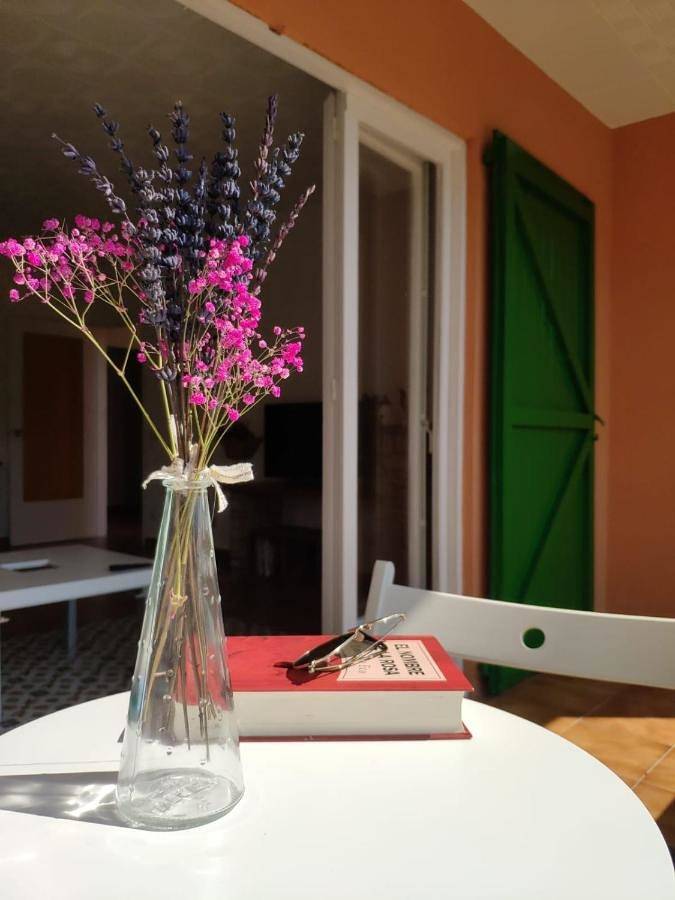 Location de vacances pour 6 personnes, avec jardin et vue, animaux acceptés à Arbúcies - 3