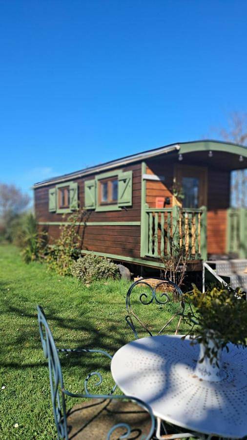 Gîte pour 5 personnes, avec vue, animaux acceptés dans Sajas - 4
