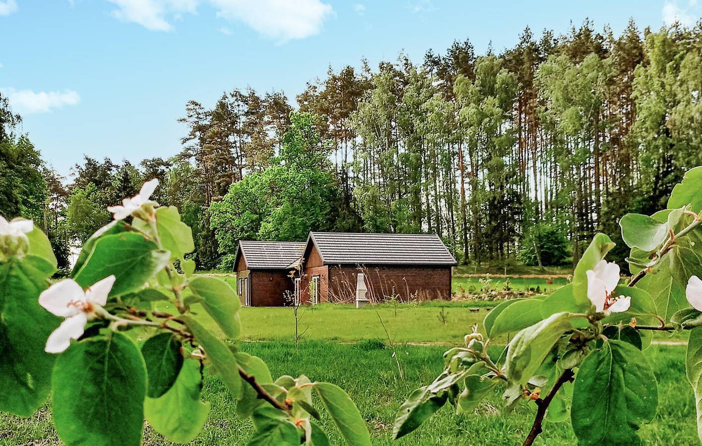 Cały apartament wypoczynkowy, Apartament wakacyjny dla 3 osób z taras in Bory Tucholskie
