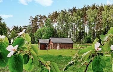 Apartament Wakacyjny dla 3 osoby w Bory Tucholskie, Zdjęcie 4