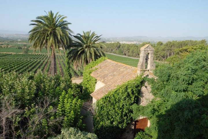 Chalet para 6 personas, con piscina además de vistas y jardín, Se admiten mascotas en Alt Penedès - 3