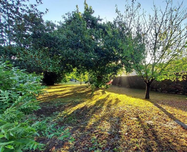 Location de vacances pour 10 personnes, avec piscine ainsi que jardin et vue, animaux acceptés à Saint-Paul-en-Born - 3