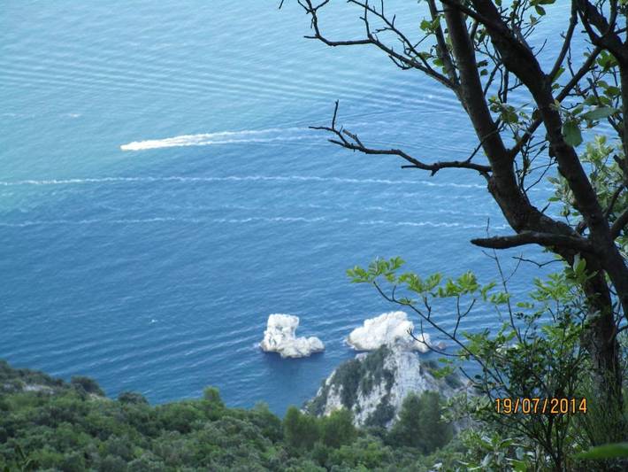 Appartamento vacanze per 4 persone, con giardino, con animali domestici - 1