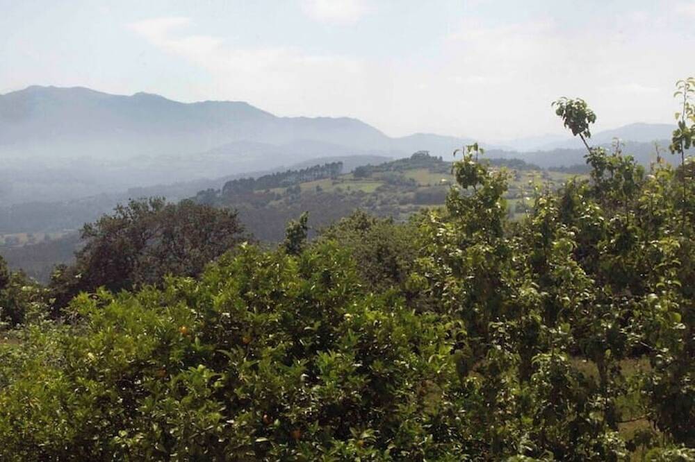 Newly Renovated Designer House 10 mins from Beach, Great location in Colunga, Côte Cantabrique