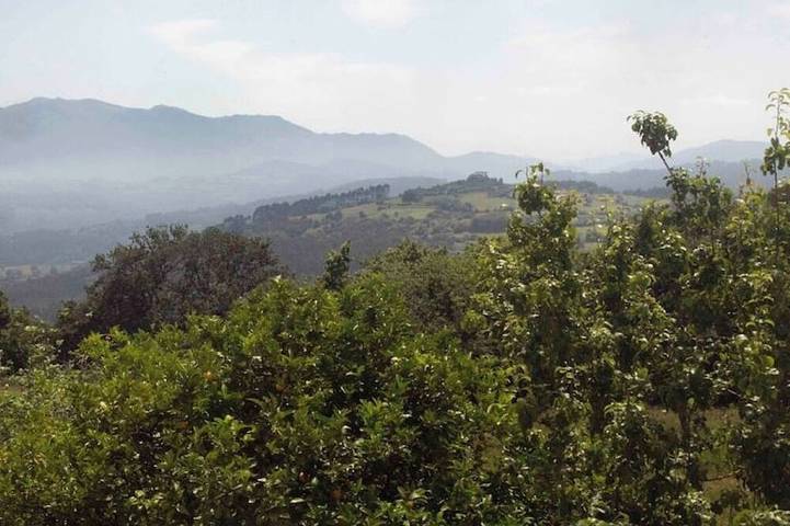 Maison de vacances pour 6 personnes - 1