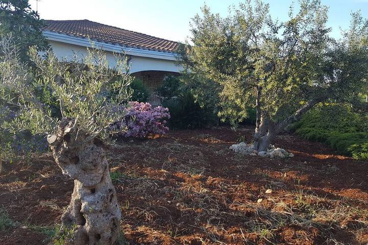 Casa Vacanze La civetta Rodonisa in Conversano, Provincia di Bari