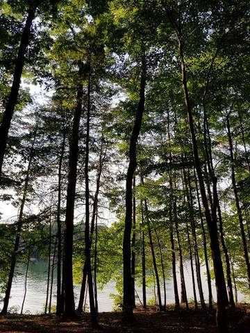 Log Cabin for 4 People in Smith Mountain Lake, Virginia, Photo 3