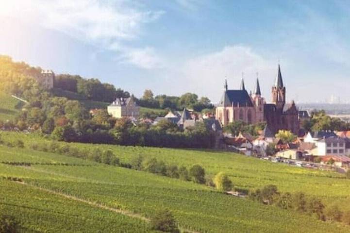 Ferienwohnung für 8 Personen in Oppenheim