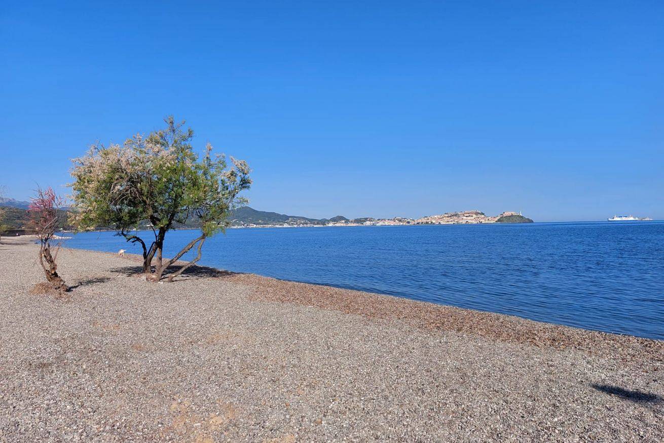 Ganze Wohnung, Ferienwohnung für 4 Personen mit Garten in Spiaggia dell'Ottone (Magazzini), Portoferraio
