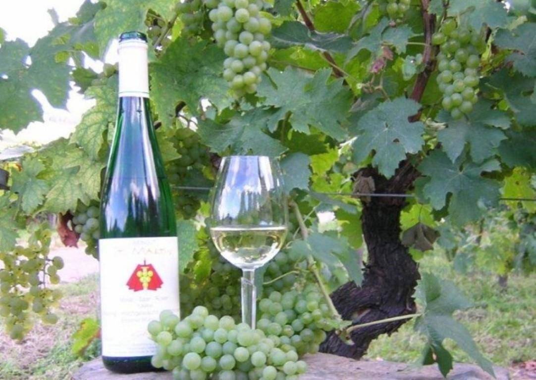Wohnung Riesling (2-Bettwohnung) in Ensch, Moseleifel
