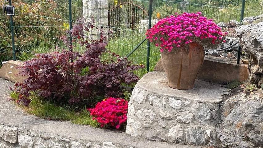 Gîte pour 2 personnes, avec jardin et vue à Levens - 2