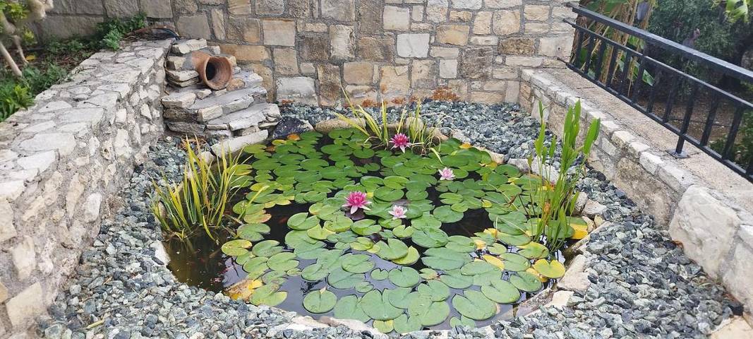 Location de vacances pour 6 personnes, avec vue ainsi que jardin et piscine, animaux acceptés dans Georgioupoli - 2