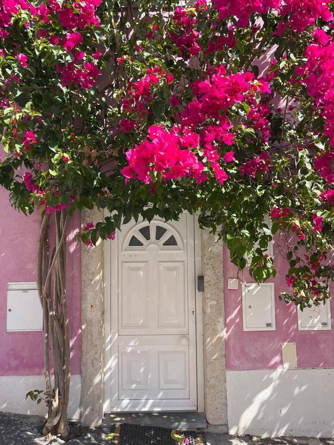 Apartamento inteiro, Casa Cor de Rosa in Lisboa, Costa de Lisboa