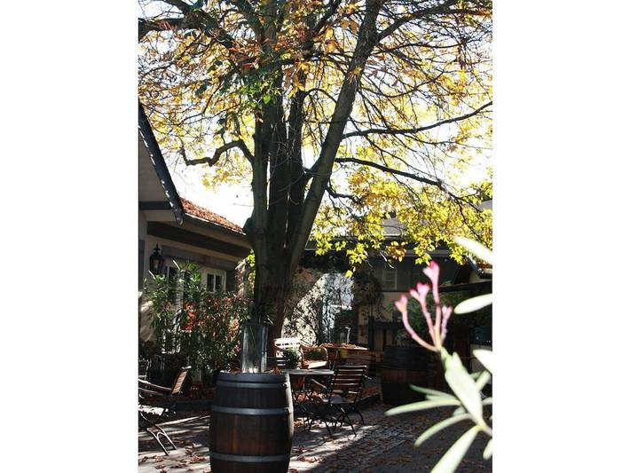 Körtgen Winzerhof in Ahrweiler, Bad Neuenahr