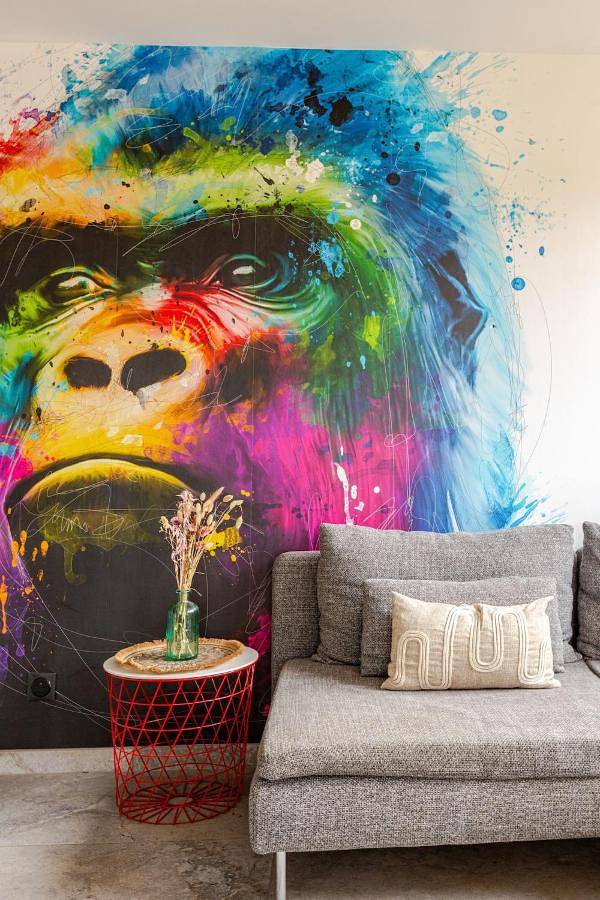 Location de vacances pour 12 personnes, avec sauna ainsi que jacuzzi et piscine, animaux acceptés à Ittenheim - 4