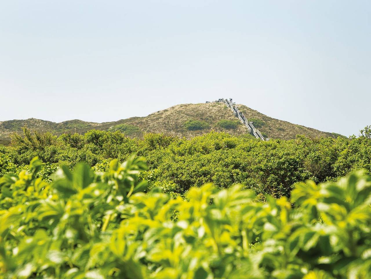 Ganze Ferienwohnung, K6 von A&M - K6 in Kampen (Sylt), Sylt