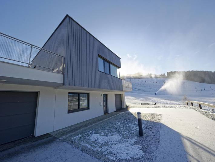Ferienhaus für 11 Personen, mit Sauna und Garten - 1